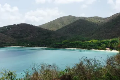 3a-8 Abrahams Fancy 1