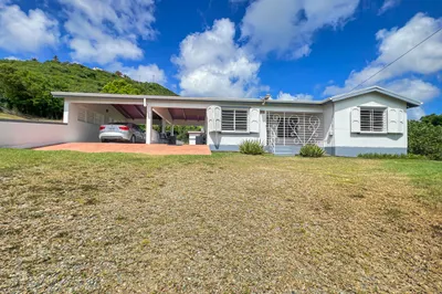 24-g Colquohoun Ki 1