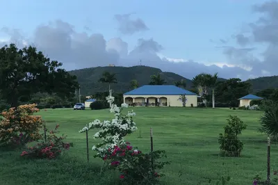 Rem 25, Et Carlton We 1