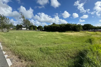 42-b Whim (two Will) We 1