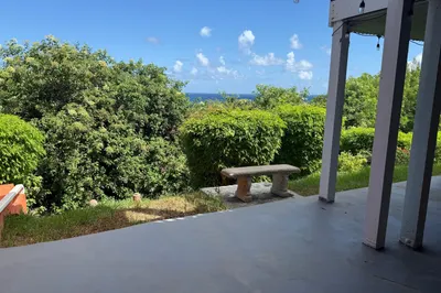 119 - Down Judith's Fancy Co 1