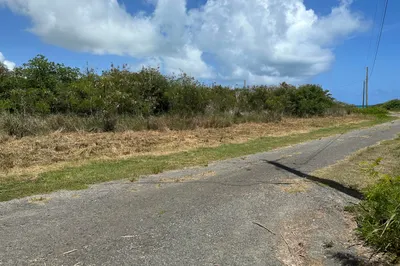 95 Enfield Green Pr 1