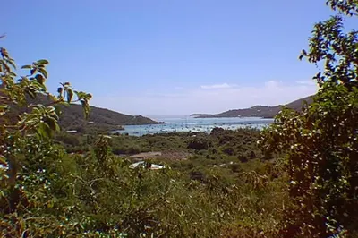 6t-8 Carolina 1