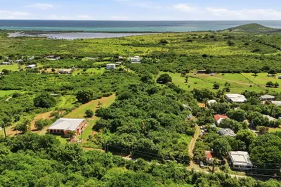 1 Sally's Fancy Ea 1