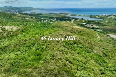 49 Lowry Hill Ea 1