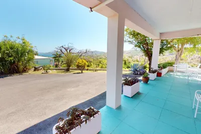 308 Judith's Fancy Co 1