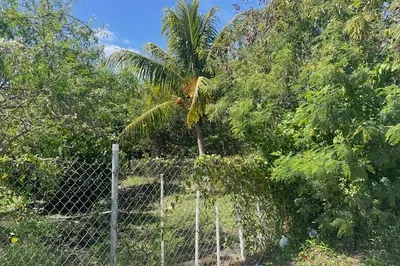 275 William's De Pr 1