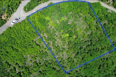 294 Union & Mt. Wash Ea 1