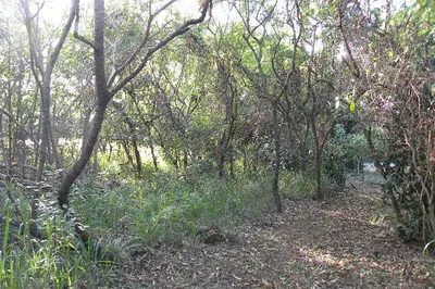 301 Cotton Valley Eb 1