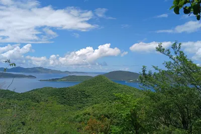 5-i Leinster Bay Maho 1