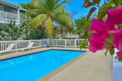 115 Ruby (diamond) Qu 1