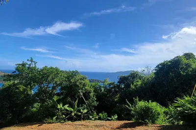 33 Caret Bay Lns 1