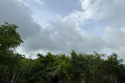 233 Little La Grange We 1