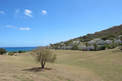107 Teagues Bay Eb 1