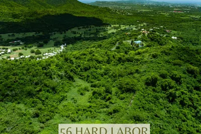 56 Hard Labor Pr 1