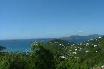 3b-20 Sans Soucci & Guinea Gut 1