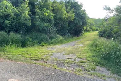 284 Cotton Valley Eb 1