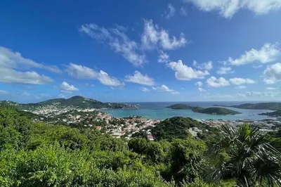 2-6 Agnes Fancy Gns 1