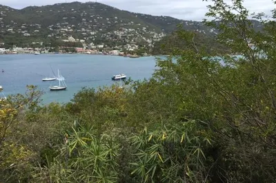 Lot 56sb Water Island Ss 1