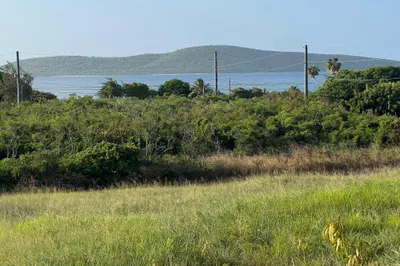 382 Cotton Valley Eb 1