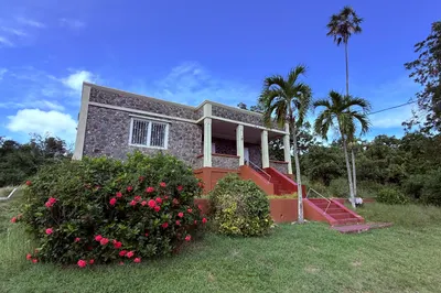 6 Rem Charlotte Amalie New 1