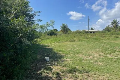 287 William's De Pr 1