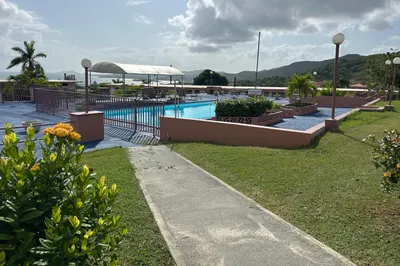 31 Orange Grove Co 1