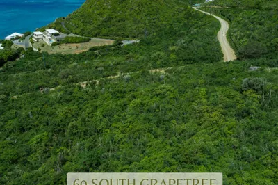 60 South Grapetree Eb 1