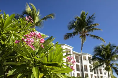 2101-10 Nazareth Rh 1