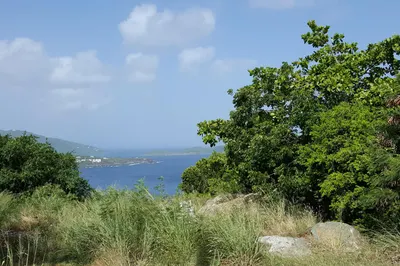 9-1-23 Peterborg Gns 1