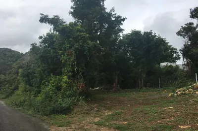 18ba Montpellier Qu 1