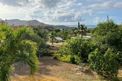 11h Rattan Qu 1
