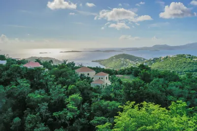 4-76 Sans Soucci & Guinea Gut 1