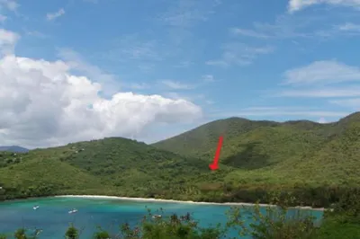 3a-9 Abrahams Fancy 1