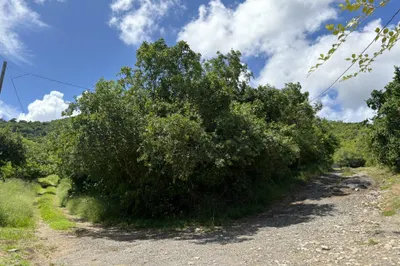 248 La Vallee Nb 1