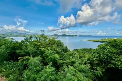 28 Freemans Ground 1