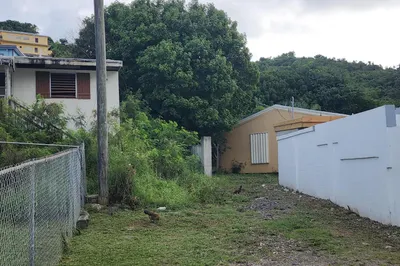 8 Eliza's Retreat Ea 1