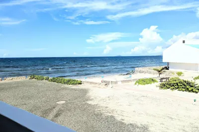 N2 La Grande Princesse Co 1