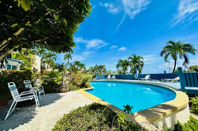 82 Orange Grove Co 1