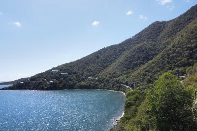 4b-2, 4b-a Little Plantation 1