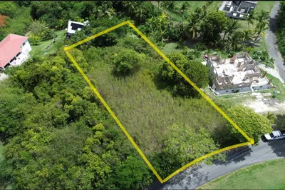 134 Morningstar Qu 1