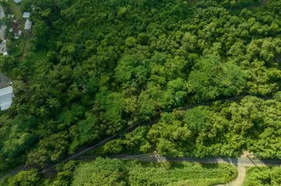 335 Grove Place Pr 1