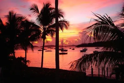 300-67 Chocolate Hole 1