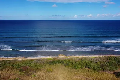 Rem 73 Judith's Fancy Qu 1