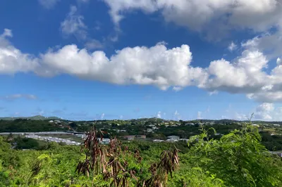 467 Barren Spot Ki 1