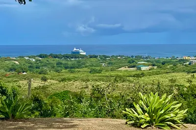 16c Whim (two Will) We 1