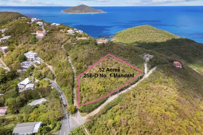 25e-d No.1 Mandahl Gns 1