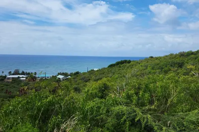 69 South Grapetree Eb 1