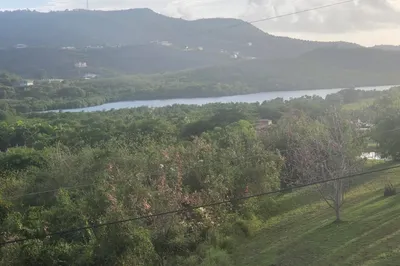 132 Anna's Hope Ea 1