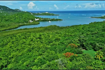 2-be & 2-i Judith's Fancy Qu 1